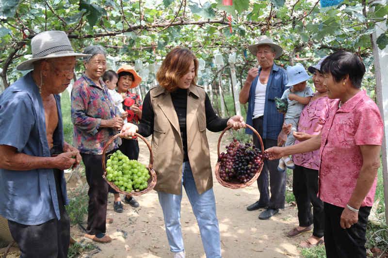 沂南自动门介绍及特点