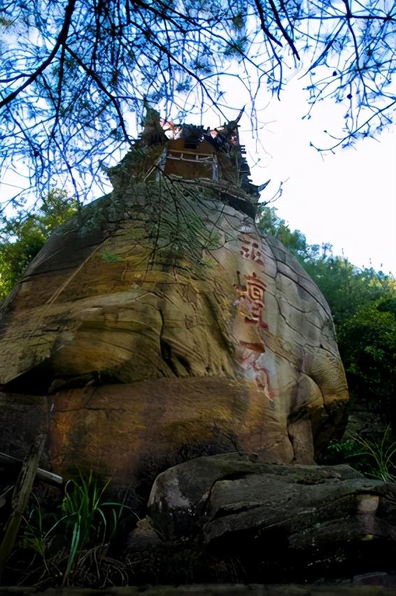 金坛区自动门制作，追溯与探索的旅程